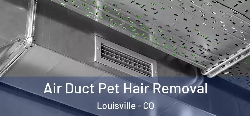  Air Duct Pet Hair Removal Louisville - CO