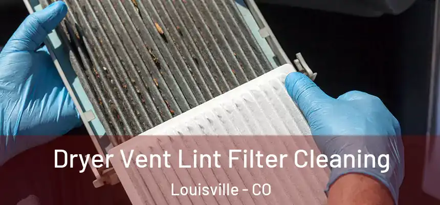  Dryer Vent Lint Filter Cleaning Louisville - CO