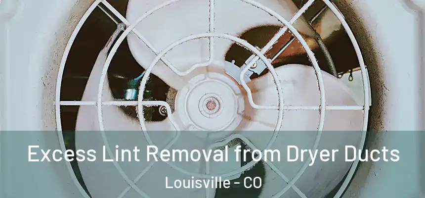  Excess Lint Removal from Dryer Ducts Louisville - CO