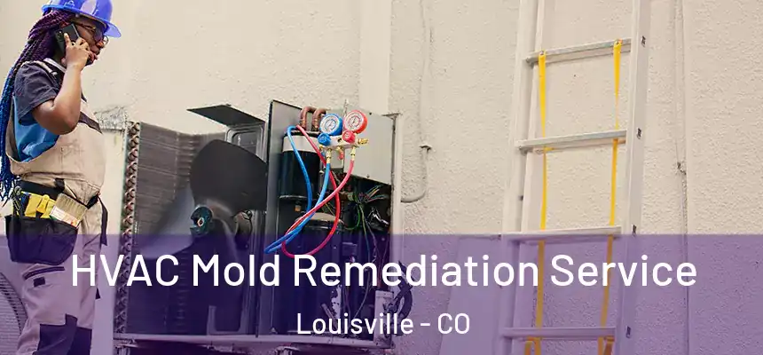  HVAC Mold Remediation Service Louisville - CO