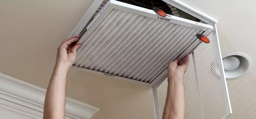 Our Insect Removal from Air Ducts Services in Louisville, CO