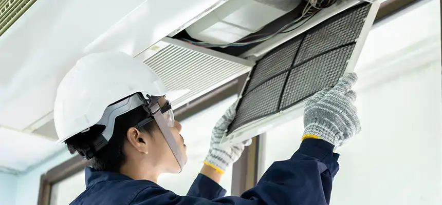 Our Lint Trap Cleaning Service Services in Louisville, CO