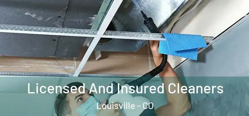  Licensed And Insured Cleaners Louisville - CO