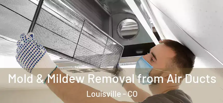  Mold & Mildew Removal from Air Ducts Louisville - CO