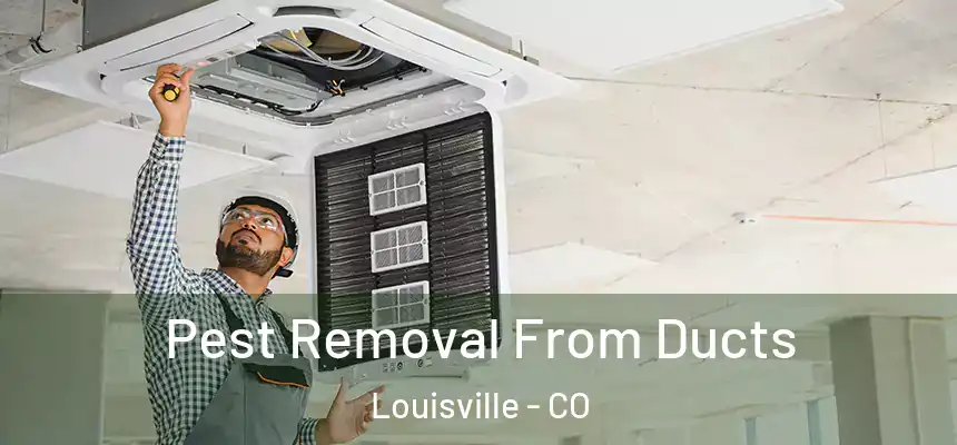  Pest Removal From Ducts Louisville - CO