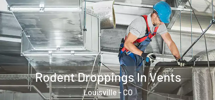  Rodent Droppings In Vents Louisville - CO