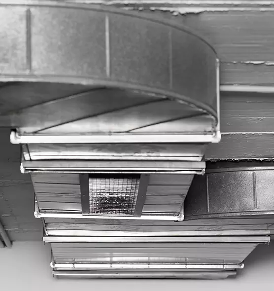 Professional Air Duct Pest Removal in Louisville, CO