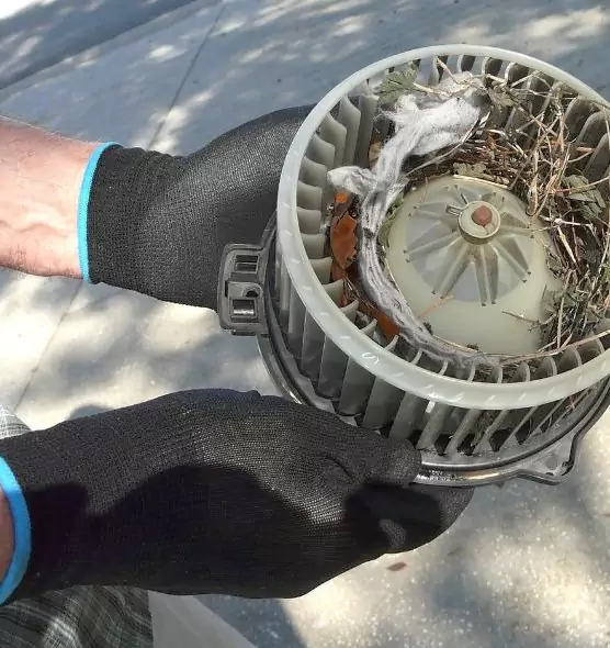 About Air Duct Rat Removal in Louisville, CO