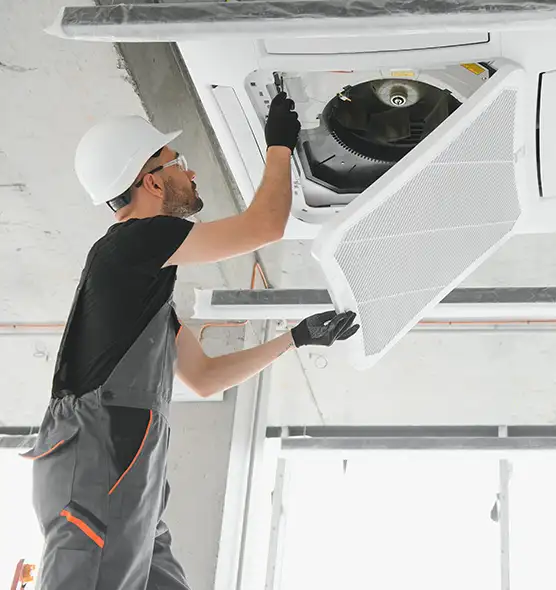 About Air Duct Rodent Removal in Louisville, CO