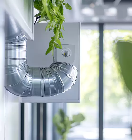 Professional Eco-Friendly Duct Cleaning Services in Louisville, CO