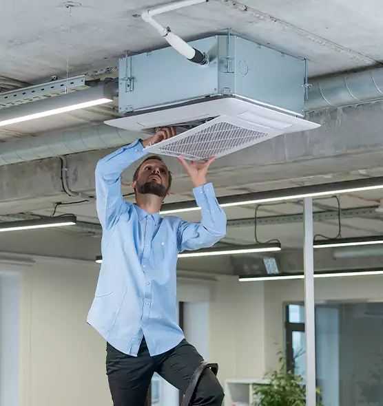 Advanced Rodent Droppings In Vents in Louisville, CO