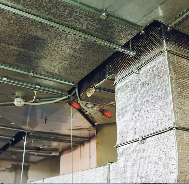 Why Homeowners & Businesses Trust Us in Louisville, CO?