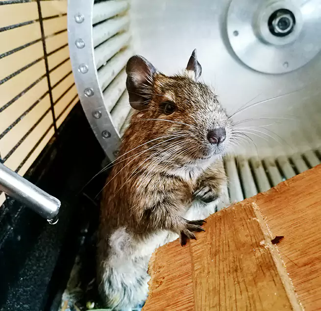 Why Homeowners & Businesses Trust Us Louisville, CO