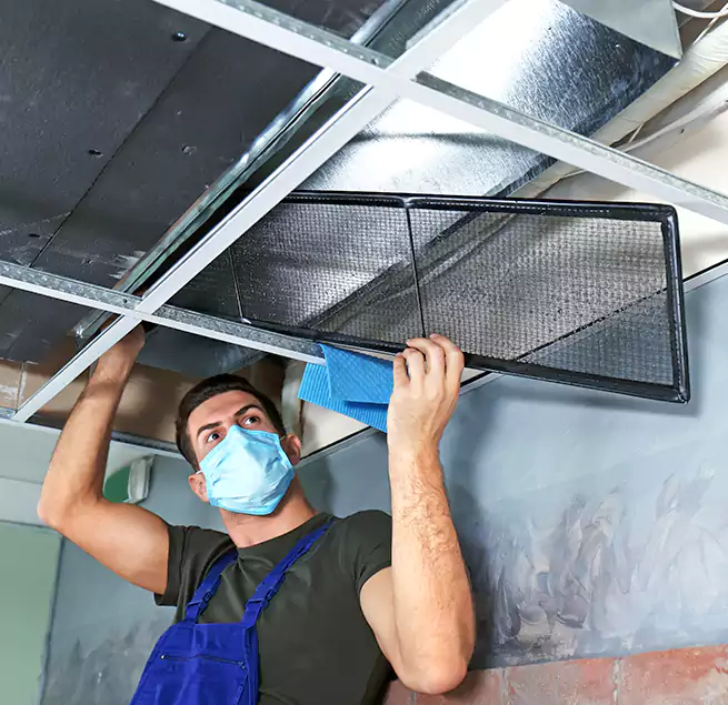 Why Homeowners Businesses Trust Us in Louisville, CO