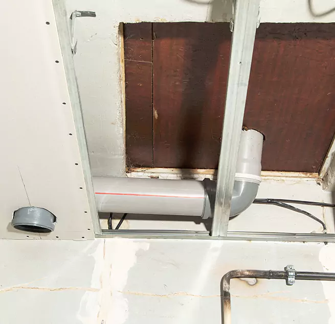 Why Homeowners & Businesses Trust Us in Louisville, CO?