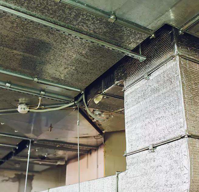 Why Homeowners & Businesses Trust Us in Louisville, CO?